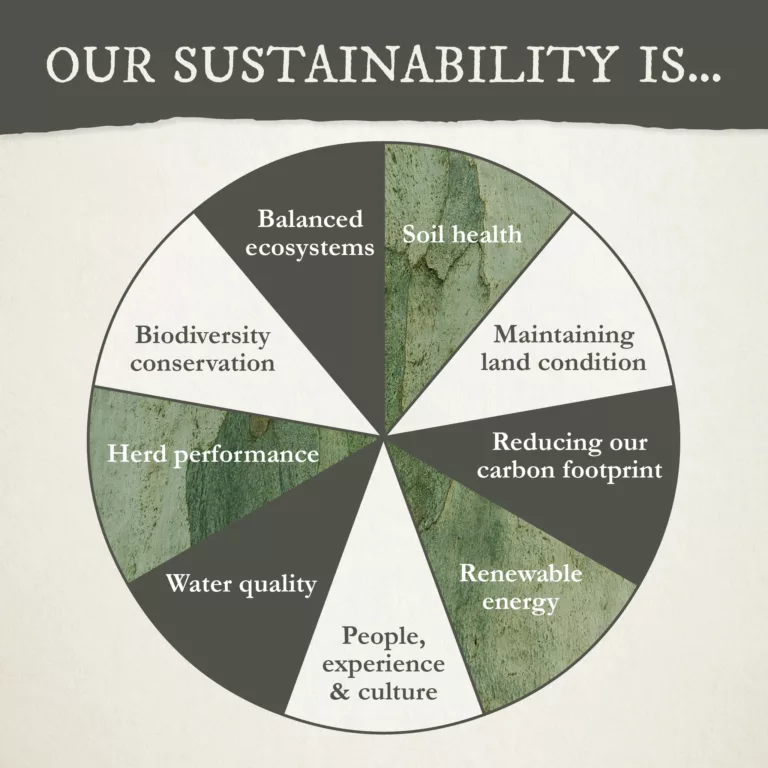 five founders pie chart of sustainability